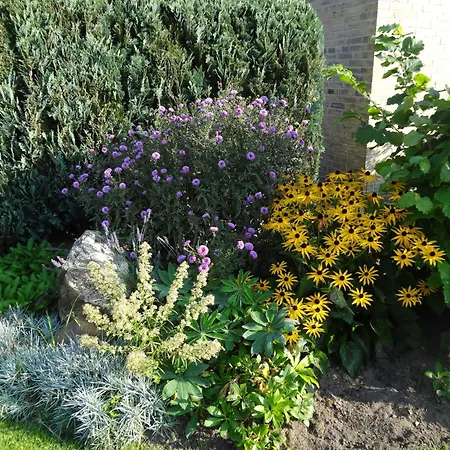 아파트 Martens 포크벡